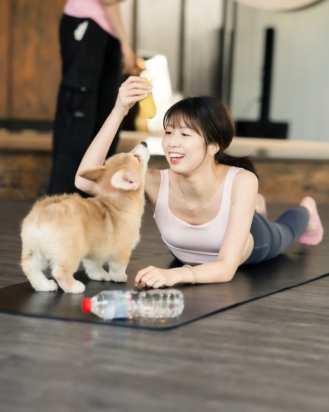 йога йога со щенком